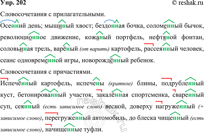 Изображение 202 Запишите сначала словосочетания с прилагательными, затем — с причастиями. Объясните написание н и нн.Испечё(н, нн)ый картофель, испече(н, нн)ы блины, осе(н, нн)ий...